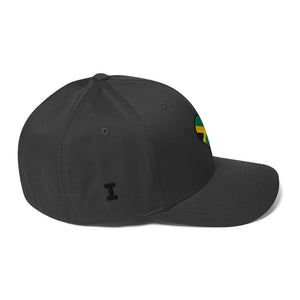 I ❤️ JA Flexfit Twill Cap